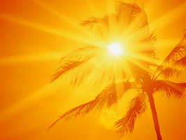 Солнце и пальмы