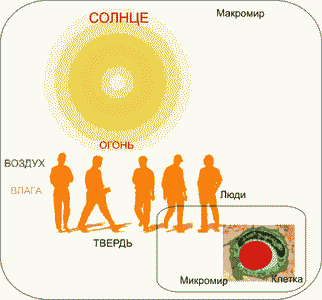 Люди Солнце Клетка